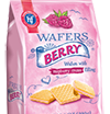 Hans Wafers