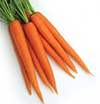 Carrots