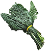 Lacinato Kale